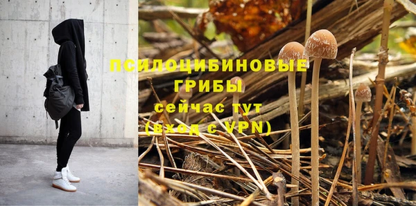 mdpv Новодвинск