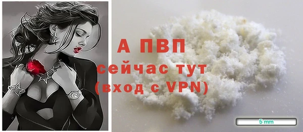 mdpv Новодвинск