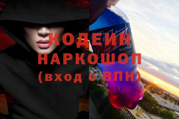 СК Новозыбков