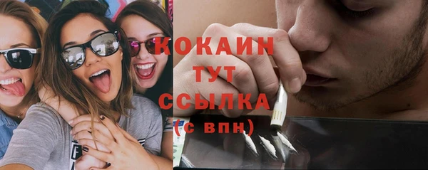 mdpv Новодвинск