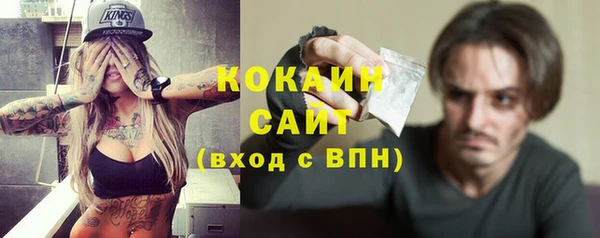 СК Новозыбков