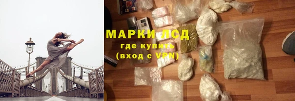 СК Новозыбков