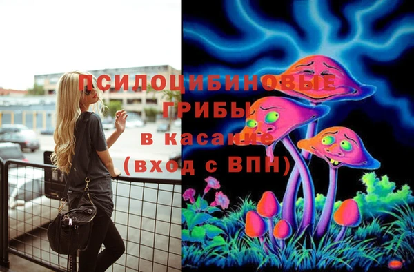 mdpv Новодвинск