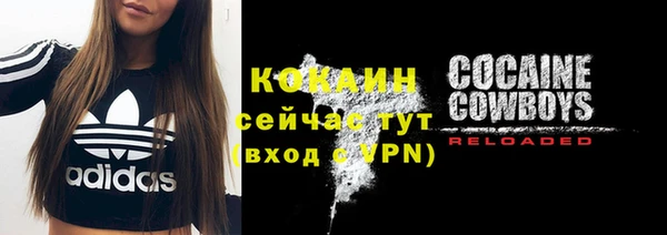 СК Новозыбков