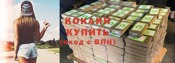 СК Новозыбков