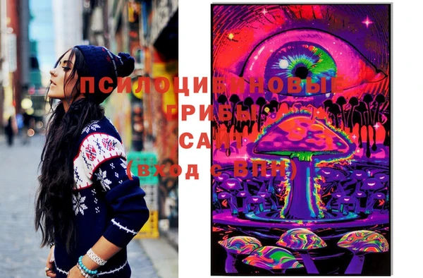 СК Новозыбков