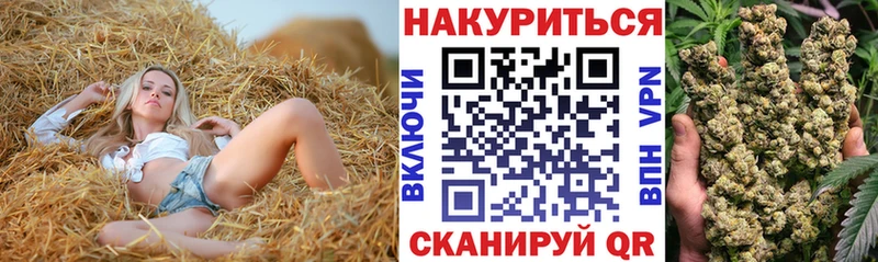 сколько стоит  Воронеж  Конопля сатива 